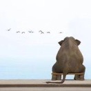 時(shí)**